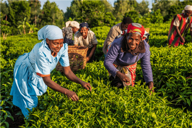 csa_african_women